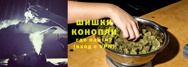 твердый Михайлов