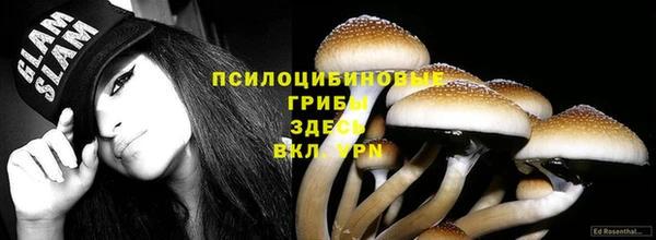 гидропоника Михайловск