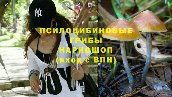 каннабис Анжеро-Судженск