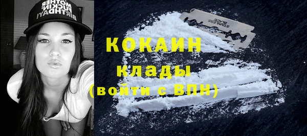 твердый Михайлов