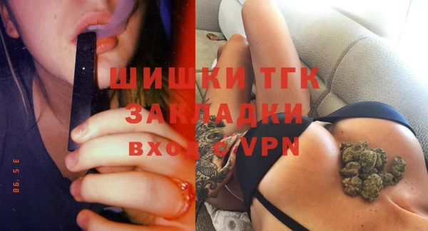 твердый Михайлов