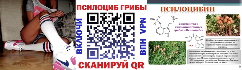 Псилоцибиновые грибы Psilocybe  Терек 